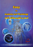 Easy In Anatomy And Physiology