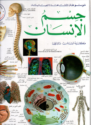 جسم الإنسان