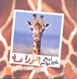 The Giraffe