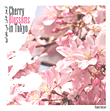 Cherry Blossoms In Tokyo