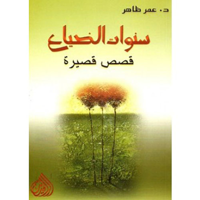 سنوات الضياع