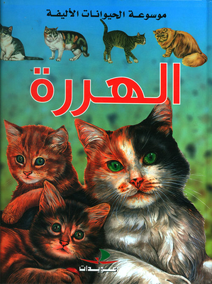 The Kitten