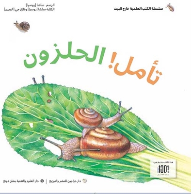 Contemplation ! Snail