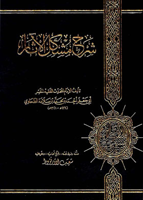 شرح مشكل الآثار ج3