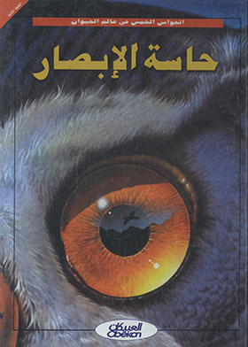 The Sense Of Sight (the Five Senses In The Animal World)