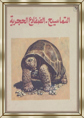 التماسيح الضفادع الحجرية