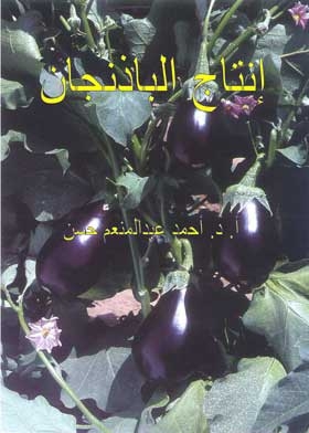Eggplant Production
