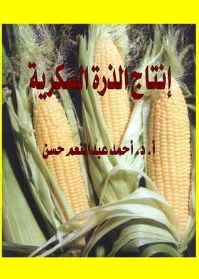 Sweet Corn Production
