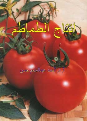 Tomato Production