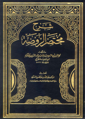 شرح مختصر الروضة ج3