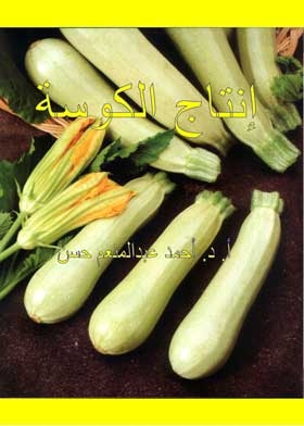 Zucchini Production
