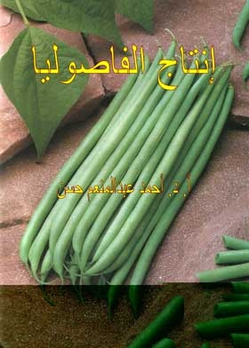 Bean Production