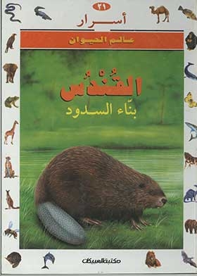 القندس بناء السدود: (سلسلة أسرار عالم الحيوان؛ 21)