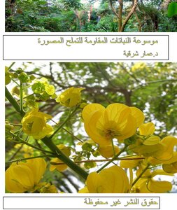موسوعة النباتات المقاومة للتملح المصورة pdf