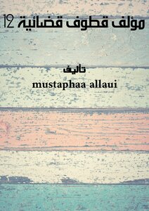 مؤلف قطوف قضائية - 12-
