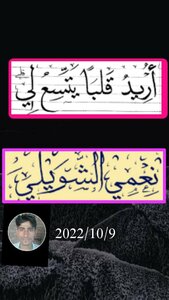 أريد قلباً يتسع لي _الشاعر نعمي الشويلي