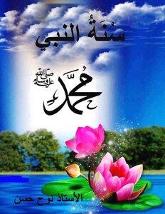 Sunnah Of The Prophet Muhammed