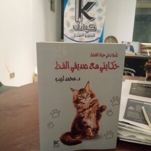 حكايتي مع صديقي القط