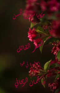 حكايا ست الحسن 4 -  العطر القاتل - أسطورة لي هوا