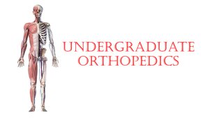 Dr Massoud Notes Undergraduate Orthopedics
