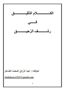 الكلام الدقيق