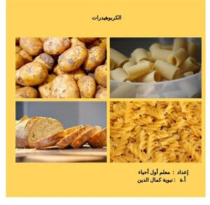 الكربوهيدرات
