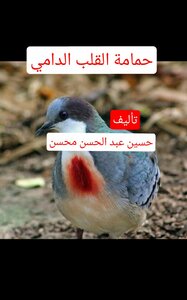 Bloody Heart Pigeon