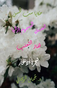 حكايا ست الحسن 2 -  العسل المسموم أزاليا