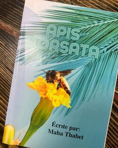 Apis dorsata