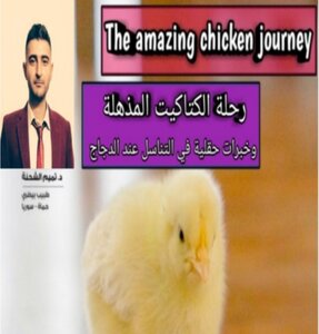 رحلة الكتاكيت المذهلة