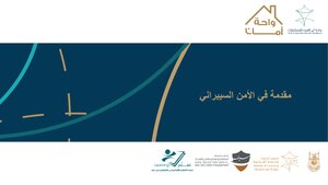 الامن السيبراني