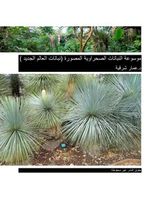 موسوعة النباتات الصحراوية المصورة (اليوكا و الصباريات الاقتصادية)