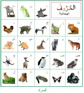 Alphabet