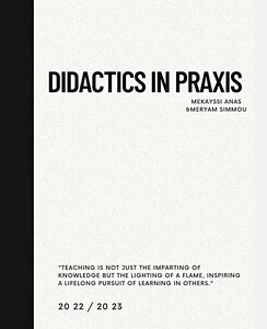 Didactics in Praxis