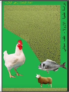 The Importance Of Azolla