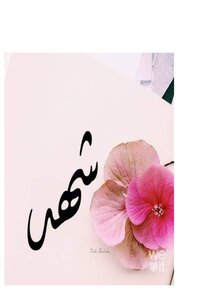 Shahd's Novel