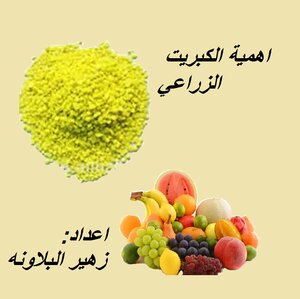 The Importance Of Agricultural Sulfur