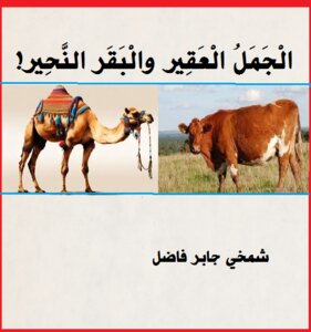 الجمل العقير والبقر النحير