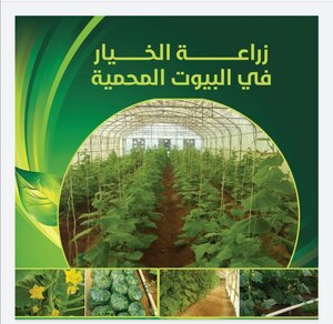 Cultivation Of Cucumbers In Greenhouses
