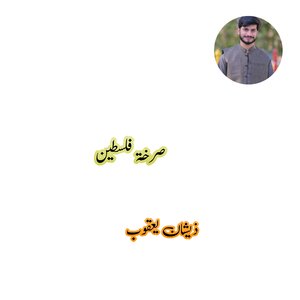 فلسطین کی فریاد)  صرخة فلسطين)