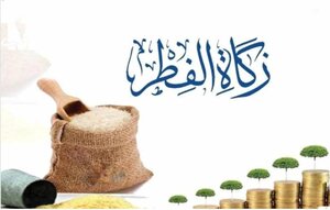 بعض الأحكام المتعلقة بزكاة الفطر