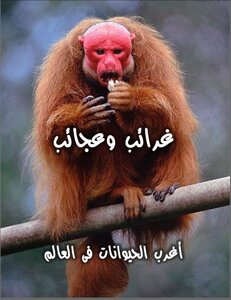 غرائب وعجائب - الجزء الرابع