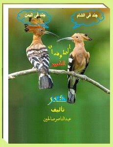 طوفان الاقصى