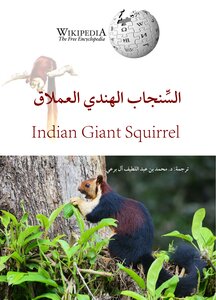 Giant Indian Squirrel