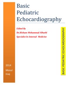 Basic Pediatric Echocardiography