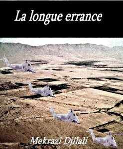 La longue errance