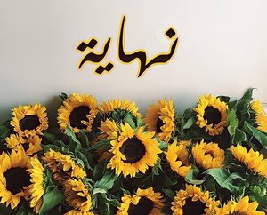 نهايتي