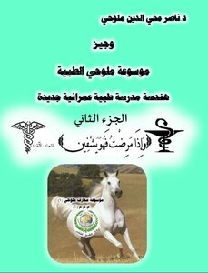 The Arabic Encyclopedia - The First Medical Section - And Brief. Maluhi Medical Encyclopedia - The Engineering Of A New Urban Medical School (part Two)