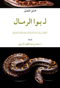 The Illustrated Guide To Boas The Sand