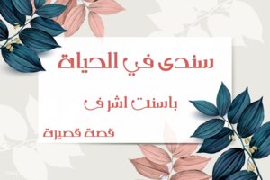 سندي في الحياة